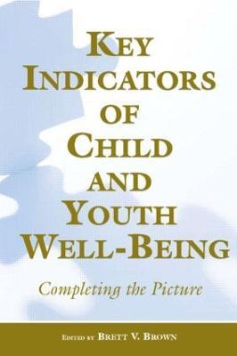 Key Indicators of Child and Youth Well-Being: Completing the Picture - cover