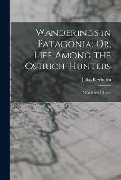 Wanderings in Patagonia: Or, Life Among the Ostrich-Hunters: Wanderer's Library - Julius Beerbohm - cover