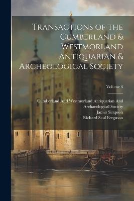 Transactions of the Cumberland & Westmorland Antiquarian & Archeological Society; Volume 6 - William Gershom Collingwood,Richard Saul Ferguson,James Simpson - cover