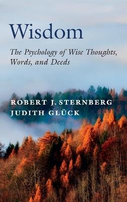 Wisdom: The Psychology of Wise Thoughts, Words, and Deeds - Robert J. Sternberg,Judith Glück - cover