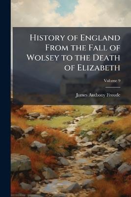 History of England From the Fall of Wolsey to the Death of Elizabeth; Volume 9 - James Anthony Froude - cover
