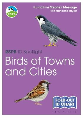 RSPB ID Spotlight - Birds of Towns and Cities - Marianne Taylor - cover