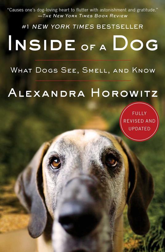 Inside of a Dog