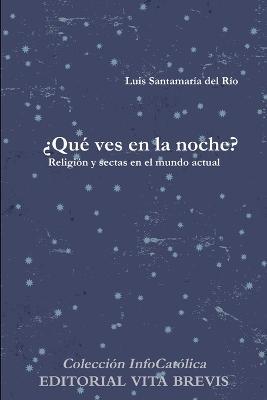 'Que Ves En La Noche? - Luis Santamaria del Rio - cover