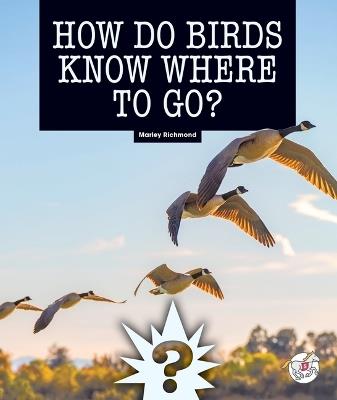 How Do Birds Know Where to Go? - Marley Richmond - cover