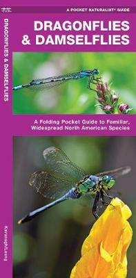 Dragonflies & Damselflies: A Folding Pocket Guide to Familiar Widespread, North American Species - James Kavanagh,Waterford Press - cover