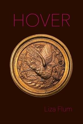 Hover - Liza Flum - cover