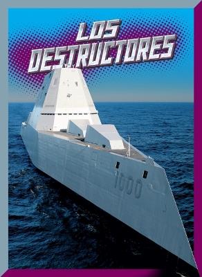 Los Destructores - Joe Tischler - cover