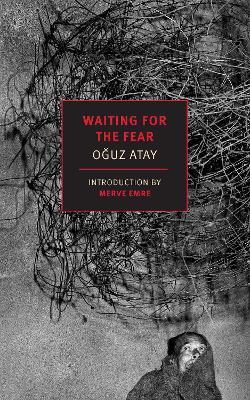 Waiting for the Fear - Oguz Atay,Ralph Hubbell - cover