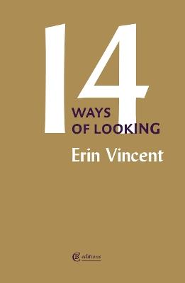 Fourteen Ways of Looking - Erin Vincent - cover