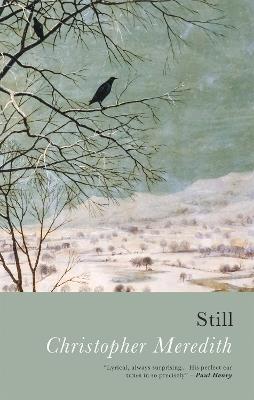 Still - Christopher Meredith - cover