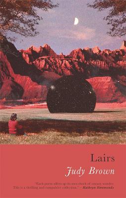 Lairs - Judy Brown - cover