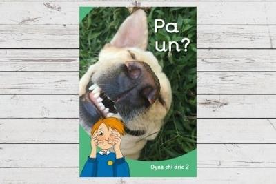 Dyna Chi Dric: Pa Un? - Eirian Lloyd Jones,Aneirin Karadog - cover