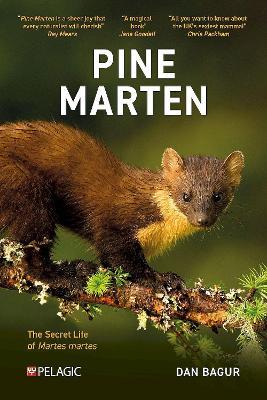 Pine Marten: The Secret Life of Martes martes - Dan Bagur - cover