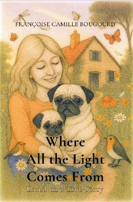 Where All the Light Comes From – Based on a True Story - Françoise Camille Bougourd - cover