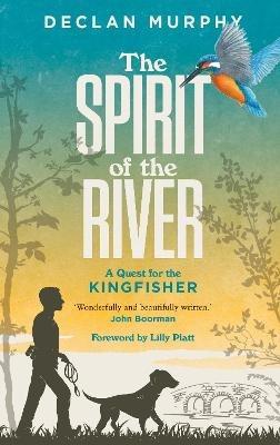 The Spirit of the River - Declan Murphy - cover