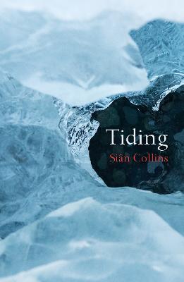 Tiding - Sian Collins - cover