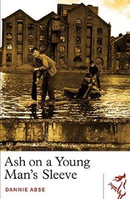 Ash on a Young Man's Sleeve - Dannie Abse - cover