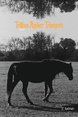 Trillion Amber Trumpets - Jc Andrews - cover