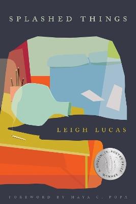Splashed Things - Leigh Lucas - cover