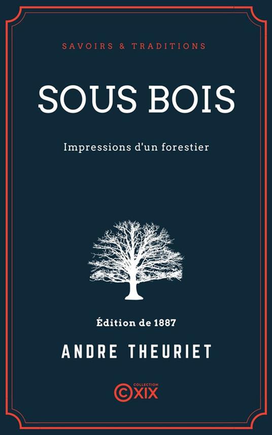 Sous bois