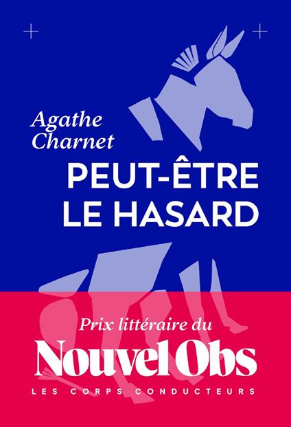 Peut-être le hasard - Prix littéraire du Nouvel Obs 2026