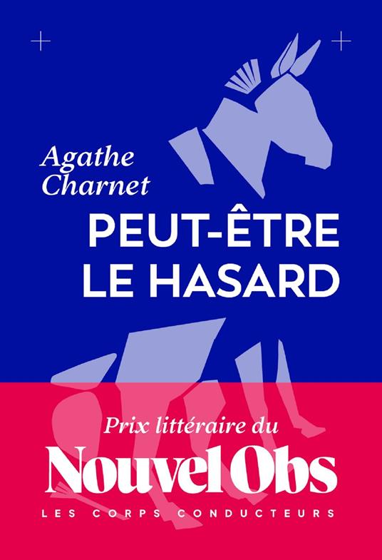 Peut-être le hasard - Prix littéraire du Nouvel Obs 2026