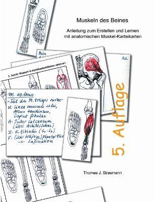 Muskeln des Beines: Anleitung zum Erstellen und Lernen mit anatomischen Muskel-Karteikarten - Thomas J Strasmann - cover