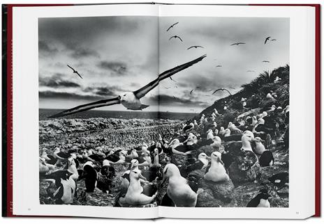 Sebastião Salgado. Genesis. Ediz. inglese - Sebastião Salgado - 7