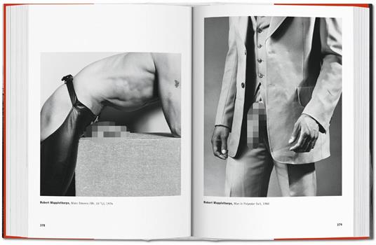 The male nude. Ediz. inglese, francese e tedesca - David Leddick - 2
