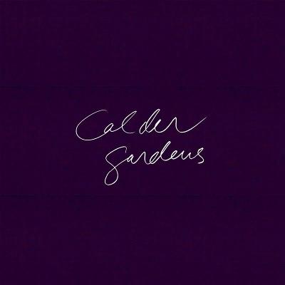 Calder Gardens: Drawings and Texts by Jacques Herzog - cover