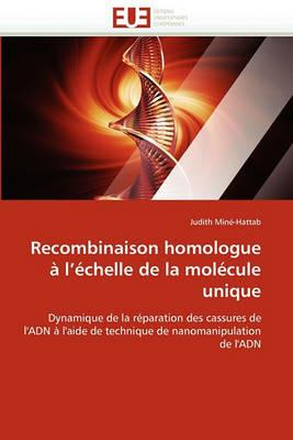Recombinaison Homologue   l'' chelle de la Mol cule Unique - Minehattab-J - cover