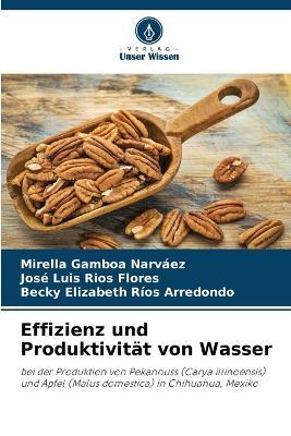 Effizienz und Produktivit?t von Wasser - Mirella Gamboa Narv?ez,Jos? Luis R?os Flores,Becky Elizabeth R?os Arredondo - cover