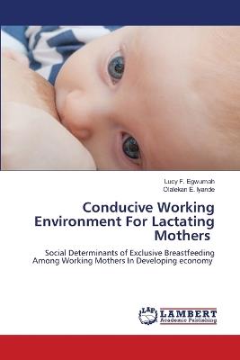 Conducive Working Environment For Lactating Mothers - Lucy F Egwumah,Olalekan E Iyande - cover