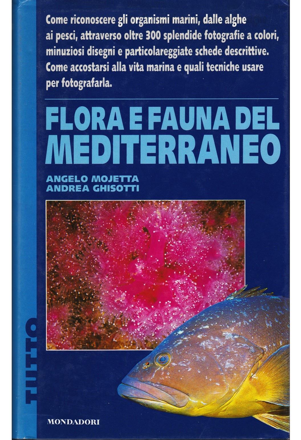 Libreria Tara