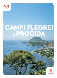 Libro Campi Flegrei e Procida Rita Covello