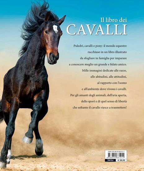 Il libro dei cavalli - Ulrike Schöber - 8