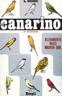 Libreria Cicerone