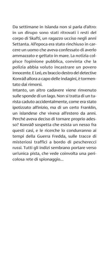 Il testimone - Arnaldur Indriðason - 4