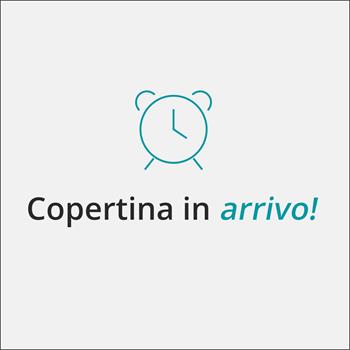 Libro Disavanzo pubblico e vincolo del bilancio Rainer Masera