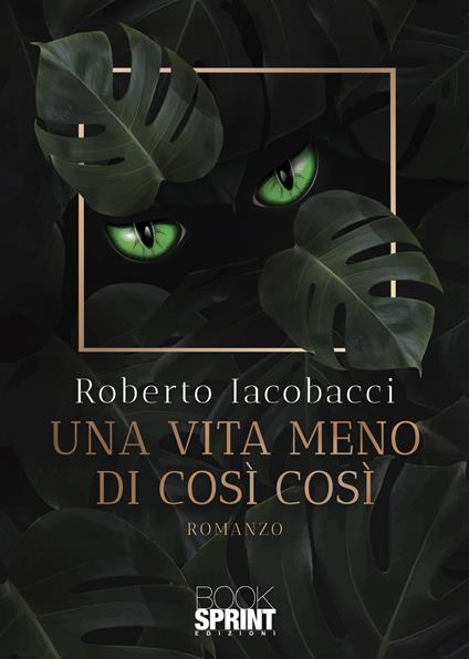 Una vita meno di così così - Roberto Iacobacci - copertina