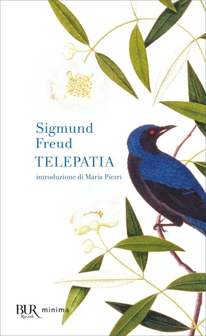 Telepatia - Sigmund Freud,Alberto Luchetti,Irene Giannì - ebook