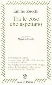 Tra le cose che aspettano - Emilio Zucchi - copertina