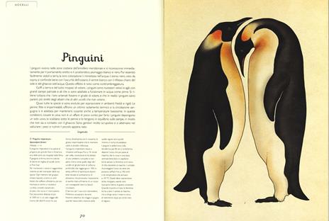 Animalium. Il grande museo degli animali. Ediz. illustrata - Katie Scott,Jenny Broom - 5