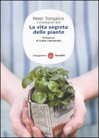 IL PAPIRO