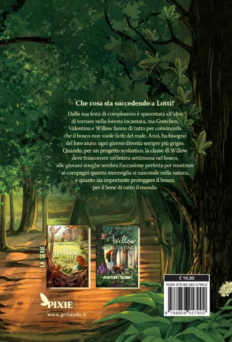 In un battito d'ali. Willow e la foresta magica - Sabine Bohlmann - 5