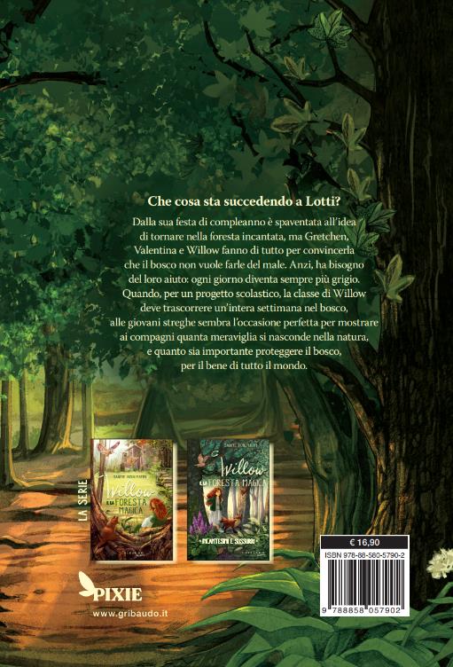 In un battito d'ali. Willow e la foresta magica - Sabine Bohlmann - 5