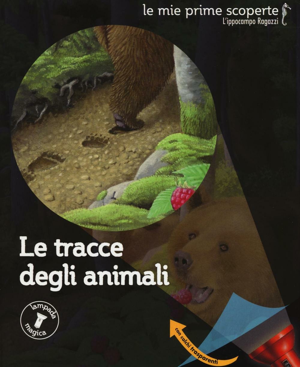 Libreria Postumia