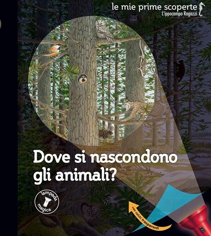 Dove si nascondono gli animali? - Sylvaine Peyrols,Claude Delafosse,Gallimard Jeunesse - copertina