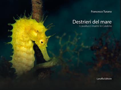 Destrieri del mare. I cavallucci marini in Calabria. Ediz. a colori - Francesco Turano - copertina